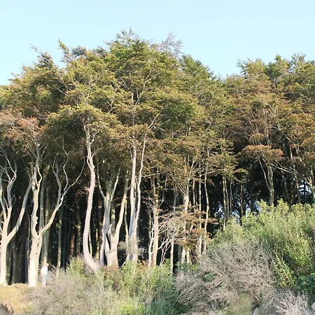 Poststrasse Nr 1 * רוסטוק